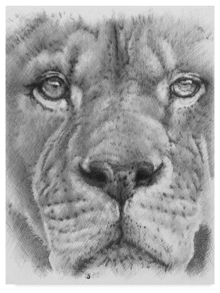 "Up Close Lion" by Barbara Keith, Canvas Art