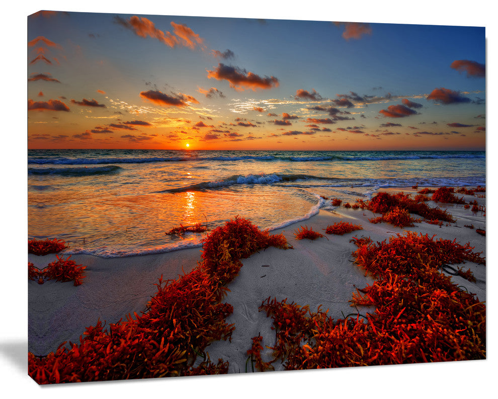 Beautiful Shore and Cloudy Sky, Landscape Canvas Art Print, 60"x28"