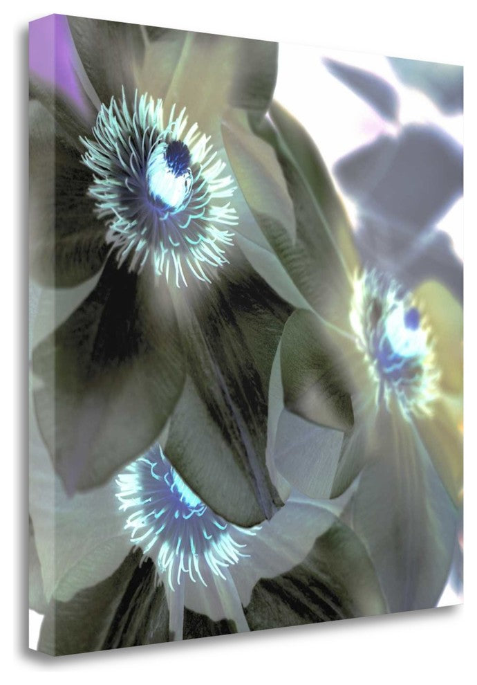 "Floral Color - 14" By Alan Blaustein, Giclee Print on Gallery Wrap Canvas