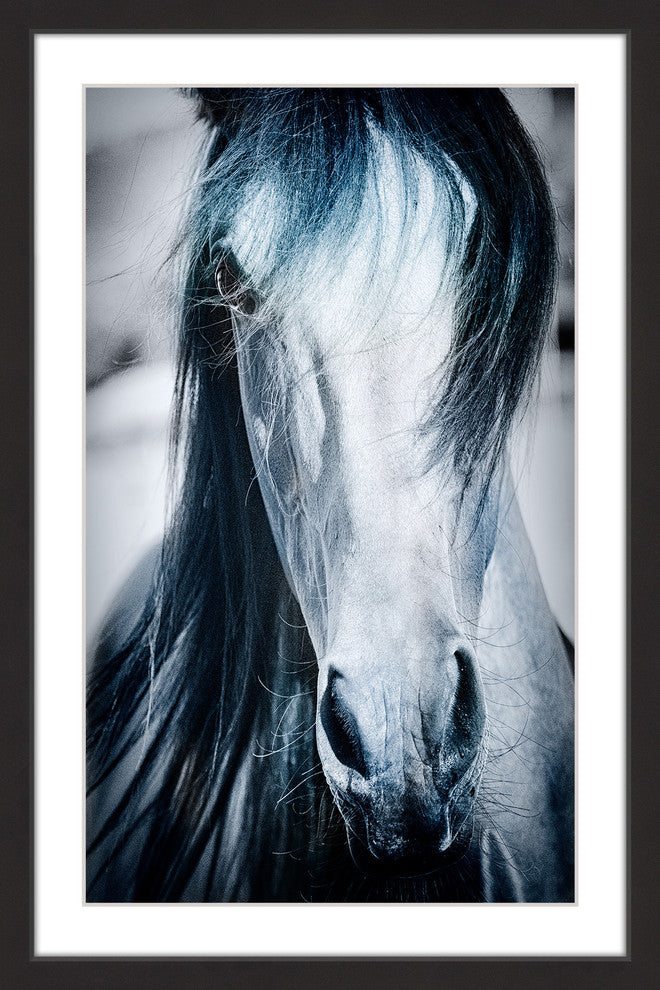 "Blue Horse" Framed Painting Print, 12x18