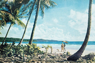 "Leaning Palms" Painting Print on Wrapped Canvas