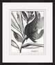 Flourish In Ink 15, Giclee Reproduction Artwork