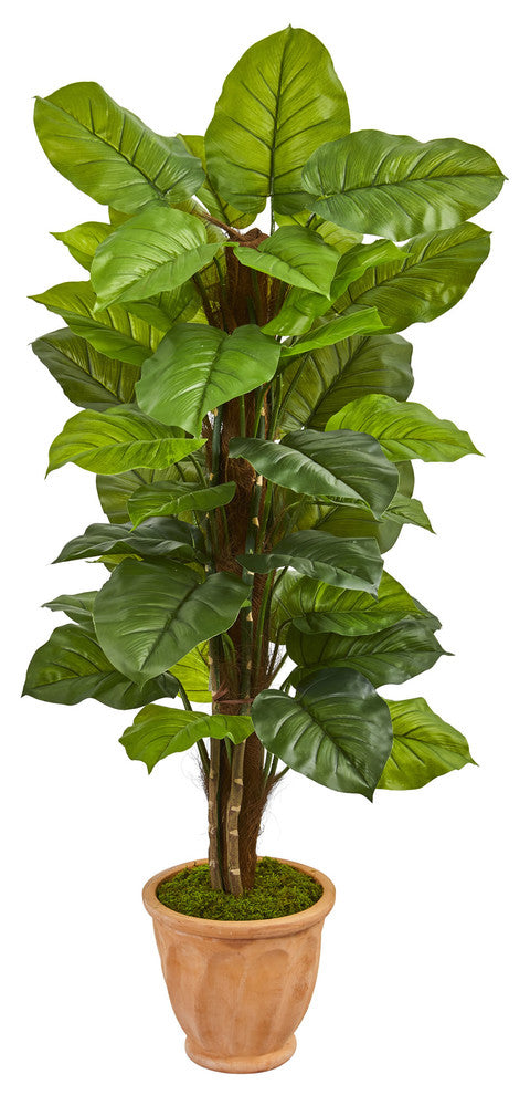 5" Large Leaf Philodendron Artificial Plant, Terracotta Planter, Real Touch
