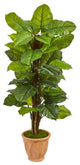 5" Large Leaf Philodendron Artificial Plant, Terracotta Planter, Real Touch