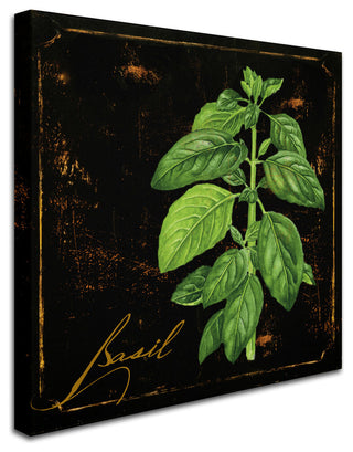 Color Bakery 'Black Gold Herbs IV' Canvas Art, 18"x18"