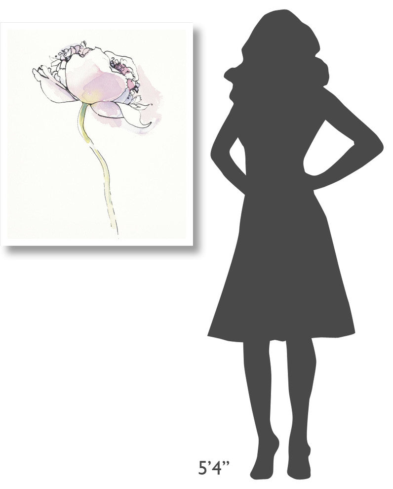 "Single Pink Somniferums I on White" Print by Shirley Novak, 28"x32"
