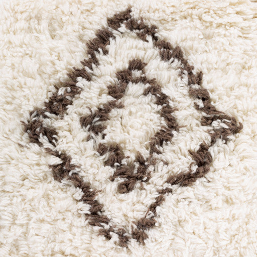 Surya Sherpa SHP-8000 9'x13' Rug, Dark Brown/Cream