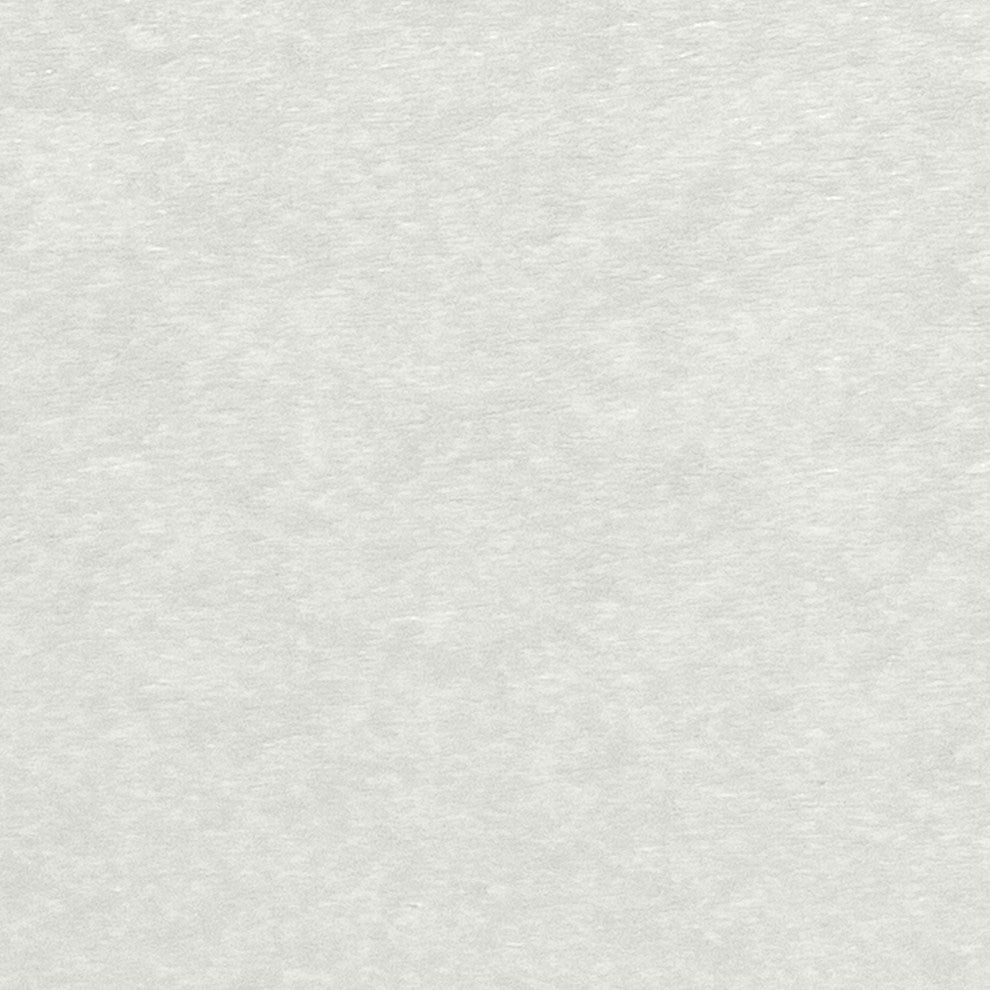 Haven Modern Side Chair, Coconut White