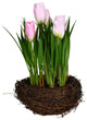 Vickerman FO194509 9" Artificial Pink Potted Tulip, Pack of 2