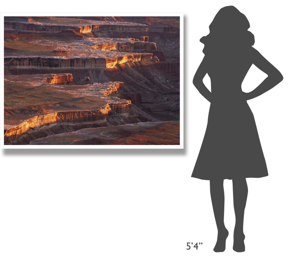 "Grandview Point over Monument Basin, Canyonlands NP" Paper Art, 50"x38"
