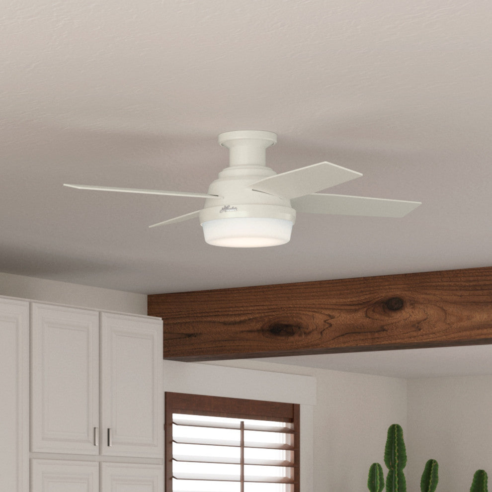 Hunter Fan Company  44" Dempsey Low Profile  Ceiling Fan With Light + Remote, Fresh White