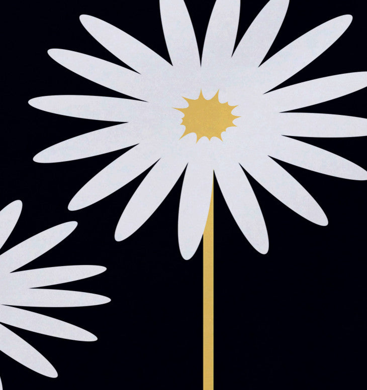 Daisy May Floral Print Placement, Bewitching, Set of 4