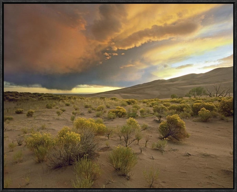Storm Clouds Over Great Sand Dunes National Monument, Colorado, 24"x20"