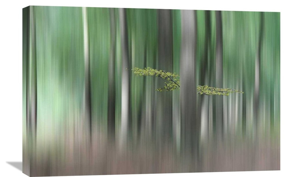 "Summermorning" Stretched Canvas Giclee by Huib Limberg, 30"x20"