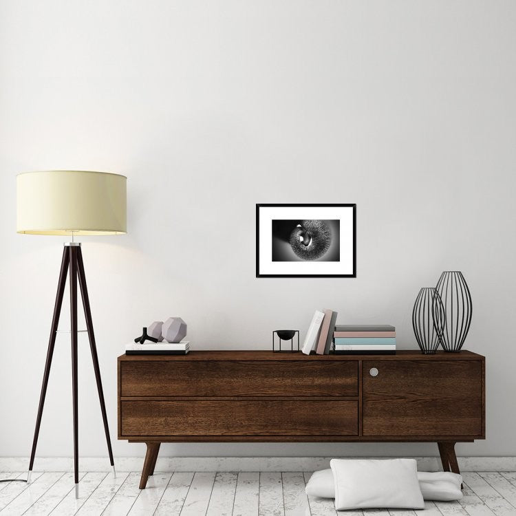 "Trunk" Framed Digital Print by Antje Wenner-Braun, 24"x17"