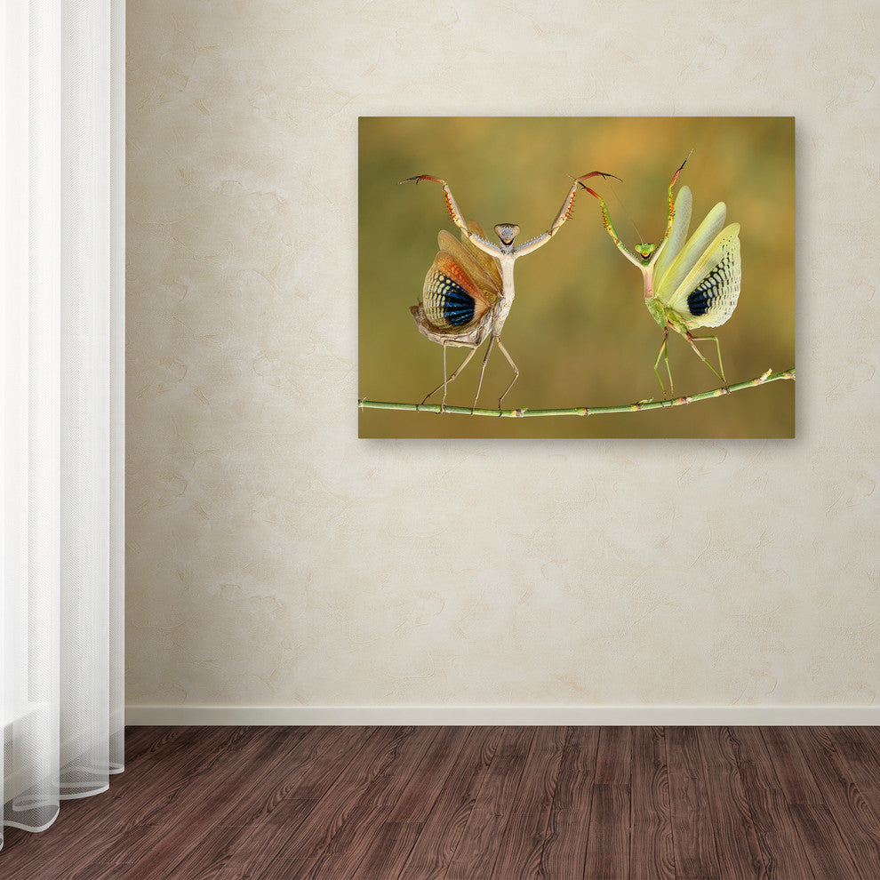 Hasan Baglar 'Show Time' Canvas Art, 32 x 24