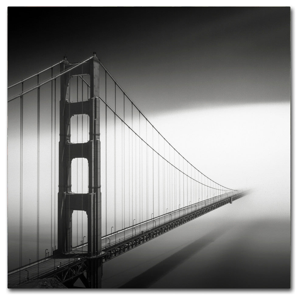 'Into The Mystic' Canvas Art by Dave MacVicar