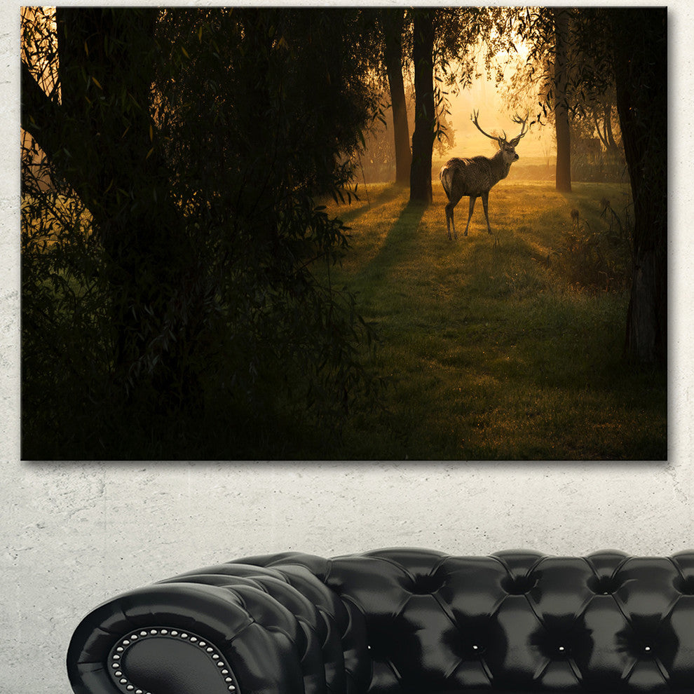 Deer In Sunset In Deep Forest, Large Forest Canvas Art Print, 60"x28"