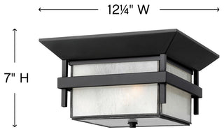 Hinkley Lighting 2573 2 Light Outdoor Flush Mount Ceiling Fixture - Titanium