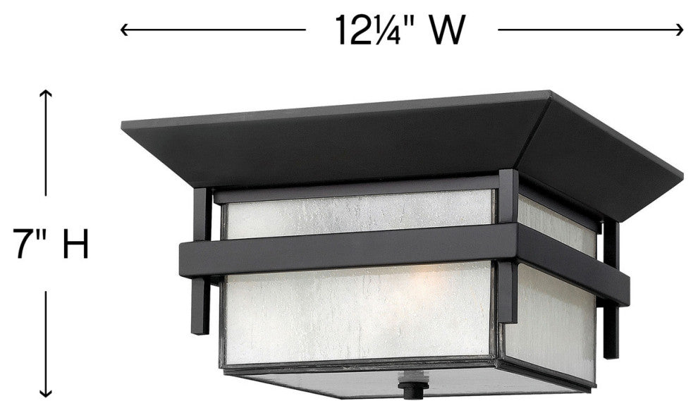 Hinkley Lighting 2573 2 Light Outdoor Flush Mount Ceiling Fixture - Titanium