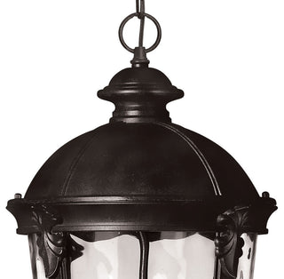 Hinkley Windsor Large Hanging Lantern, Black