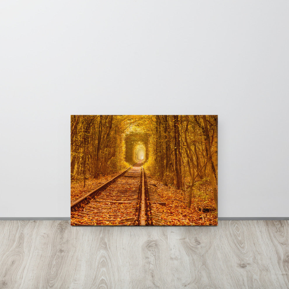Ukraine Forest Railway Tunnel of Love Landscape Photo Canvas Wall Art Print, 18" X 24"