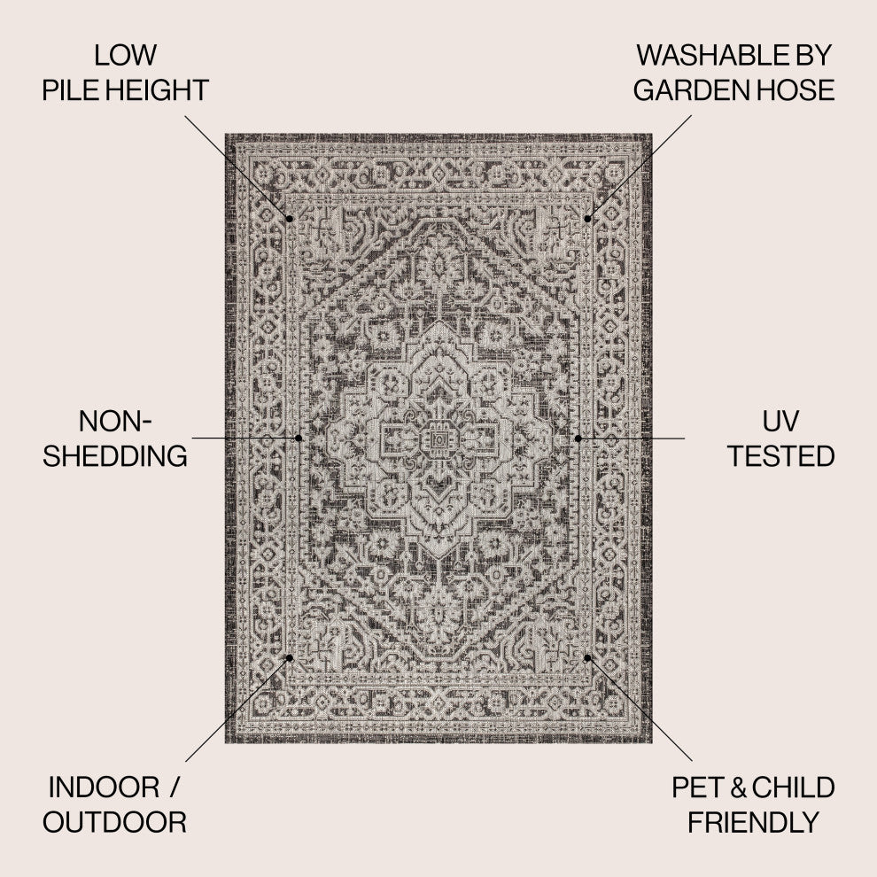 Sinjuri Medallion Textured Weave Indoor/Outdoor Area Rug