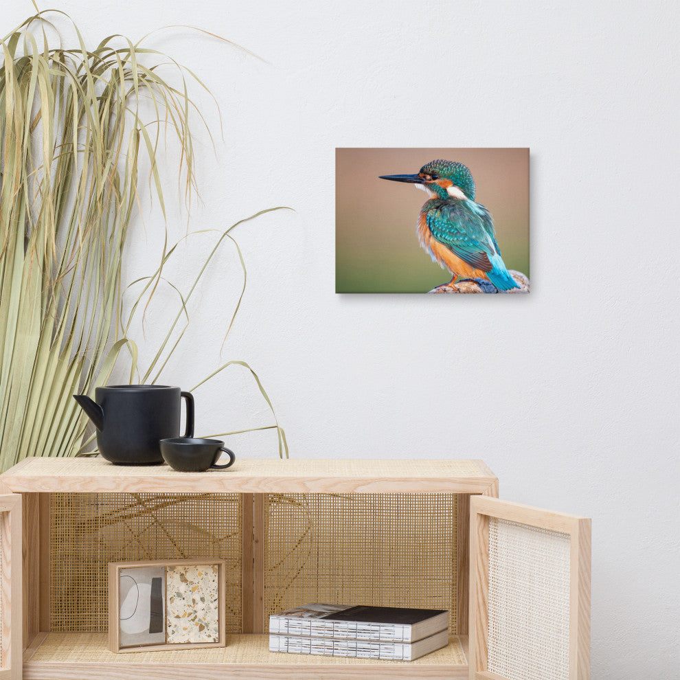 Common Kingfisher Bird on Perch Animal Wildlife Photograph Canvas Wall Art Print, 12" X 16"