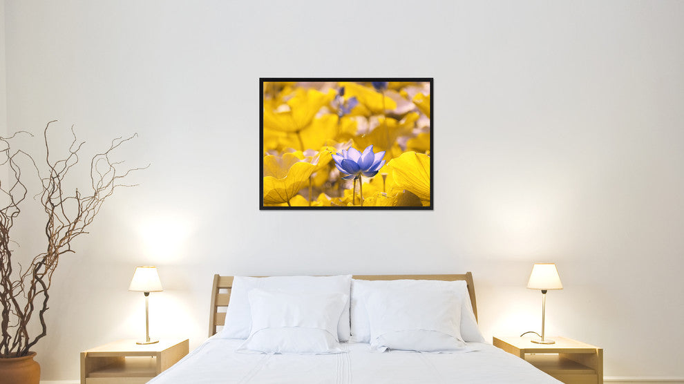 Yellow Lotus Flower Print on Canvas with Picture Frame, 28"x37"