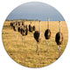 Ostriches Walking In South Africa, African Round Metal Wall Art, 23"