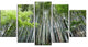 "Dense Bamboo Forest of Japan" Forest Canvas Wall Art Print, 5 Panels, 60"x32"