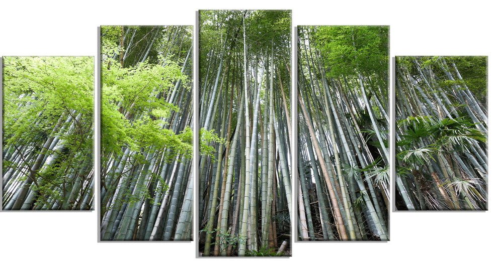 "Dense Bamboo Forest of Japan" Forest Canvas Wall Art Print, 5 Panels, 60"x32"