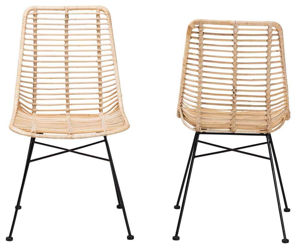 Rosalin Rattan and Metal Dining Chairs, Set of 2