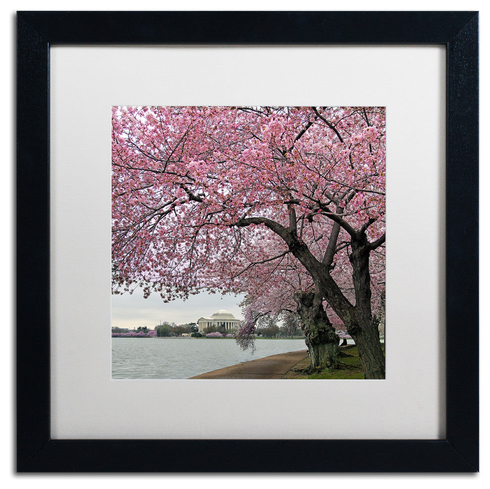 CATeyes 'Tidal Basin Blossoms' Matted Framed Art, 16x16
