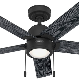 Erling Ceiling Fan, LED Light Kit and Pull Chain, Matte Black, 44"