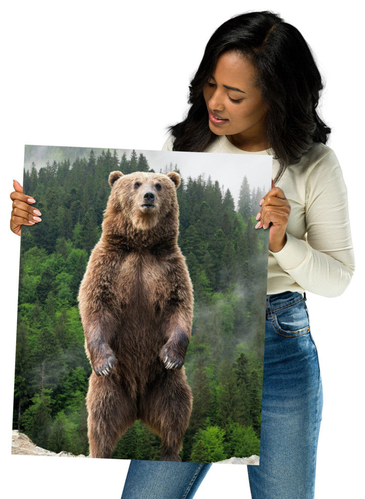 Big Standing Brown Bear On Mountain Top Loose Wall Art Print, 16" X 20"