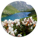Mountains Lake With White Flowers, Flower Round Wall Art, 23"
