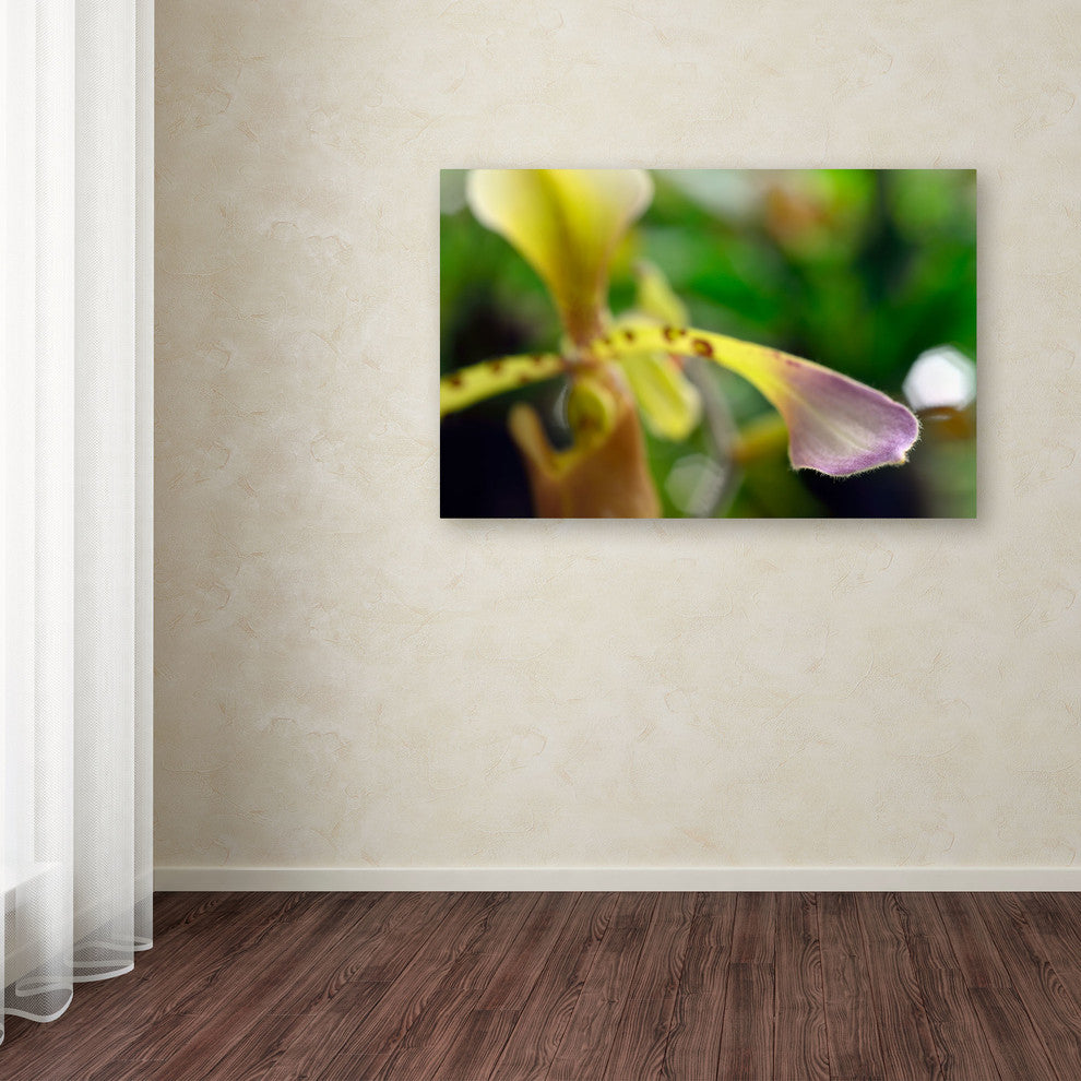 'To Touch an Orchid' Canvas Art by Kurt Shaffer