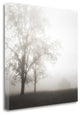 "Farmland Appalachia 2013" By Nicholas Bell, Giclee Print on Gallery Wrap Canvas