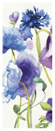 "Blue and Purple Mixed Garden I Panel I" Print by Shirley Novak, 22"x52"