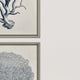 Coastal, Set of 4