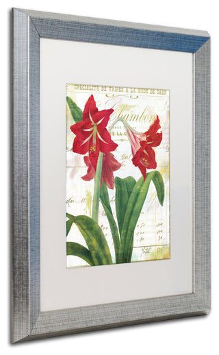 Color Bakery 'Peppermint Amaryllis' Art, Silver Frame, White Matte, 16"x20"