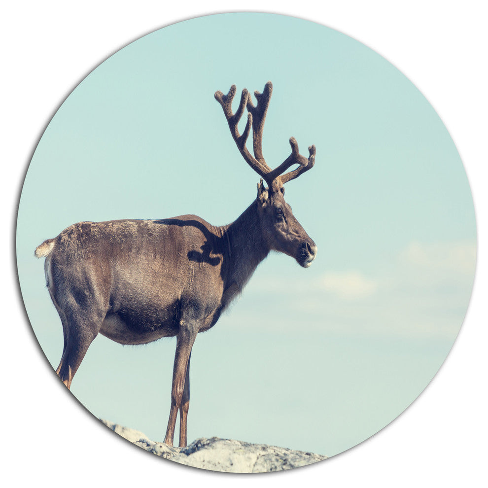 Reindeer In Norway, Animal Disc Metal Artwork, 23"