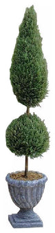 Classic Topiary, 48"