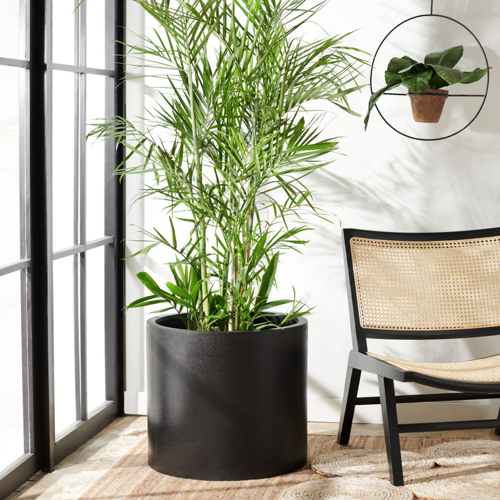 Safavieh Alia Outdoor Planter, Black