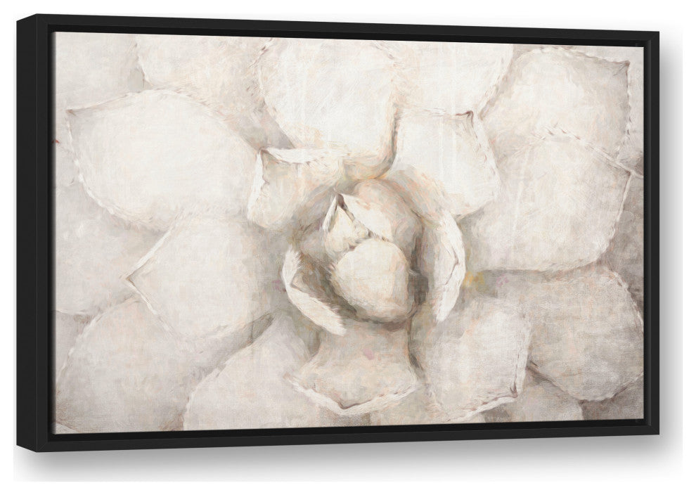 Choppy Painted Succulent 2 20x30 Black Floating Framed Canvas
