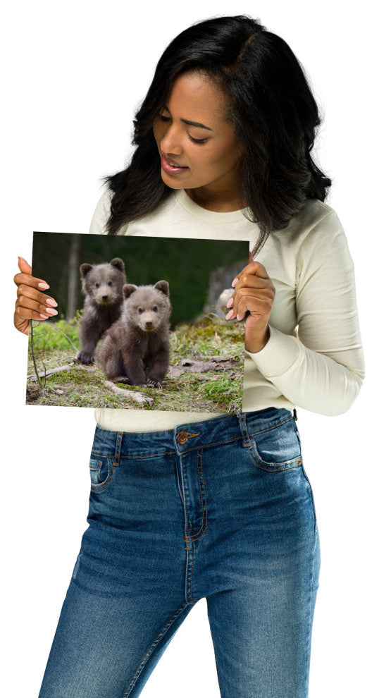 Baby Brown Bear Cubs In Forest Wildlife Photo Loose Wall Art Print, 8" X 10"