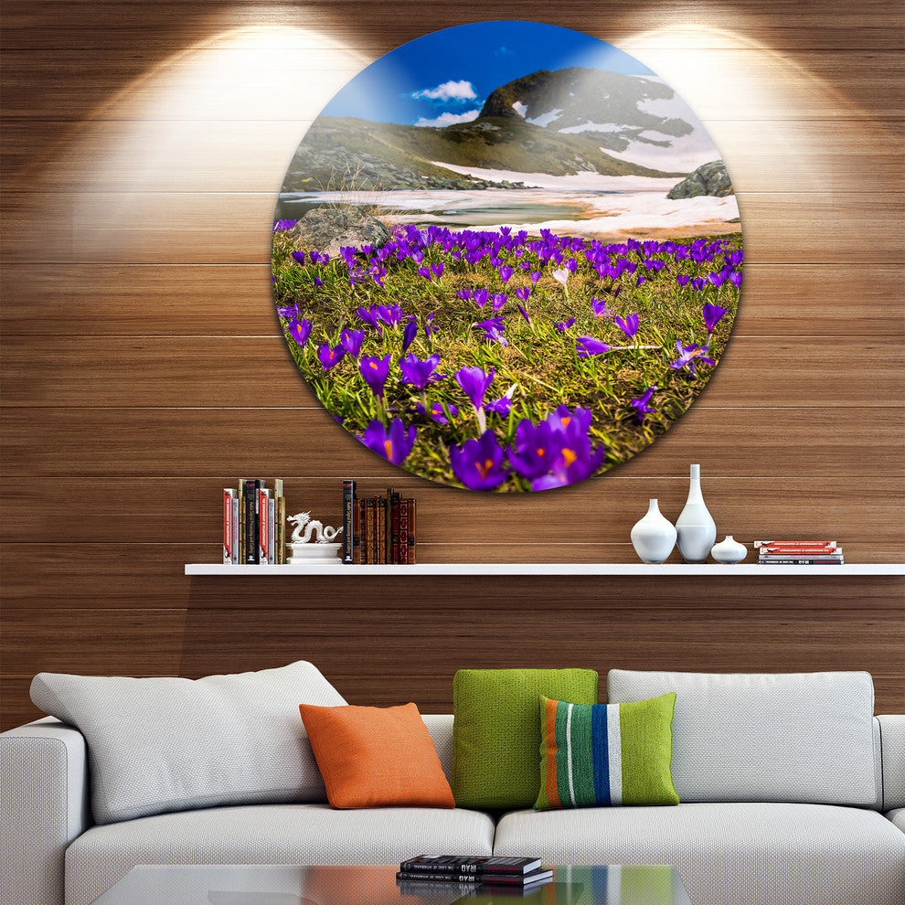 Blooming Crocus Flowers In Rila Mountains, Circle Metal Wall Art, 23"