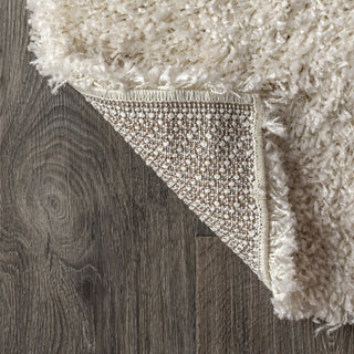 Mercer Shag Plush Area Rug, Cream, 4 X 6