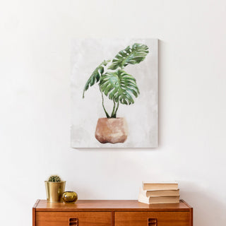 Monstera, Clay Pot 16x20 Canvas Wall Art